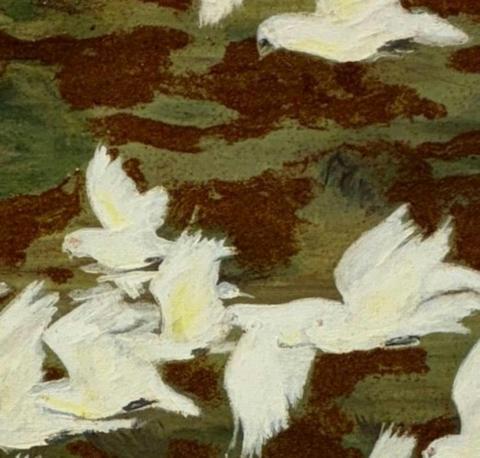 Cameron Art Group Gawura Gallery Art Exhibition