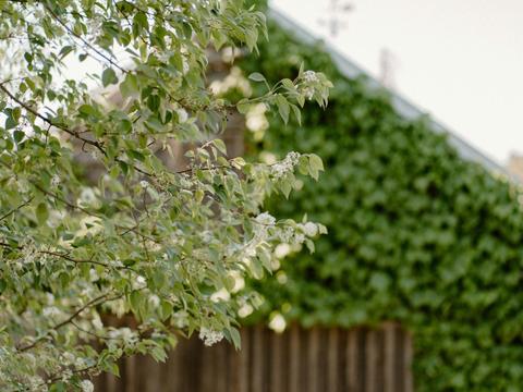 A Curated Literary Retreat