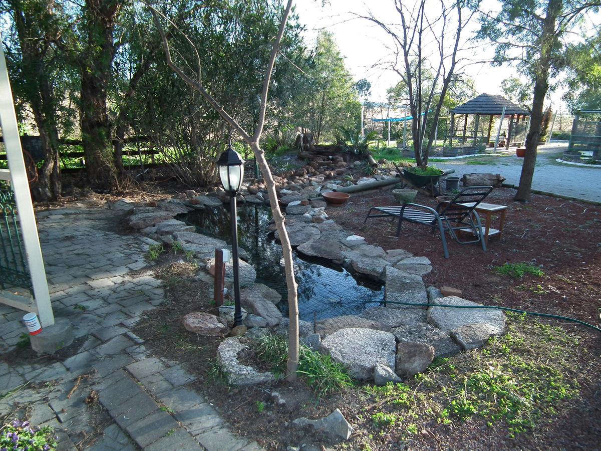 Pond