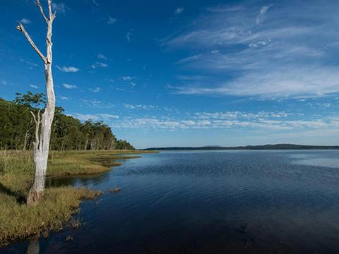 Lake Innes Nature Reserve