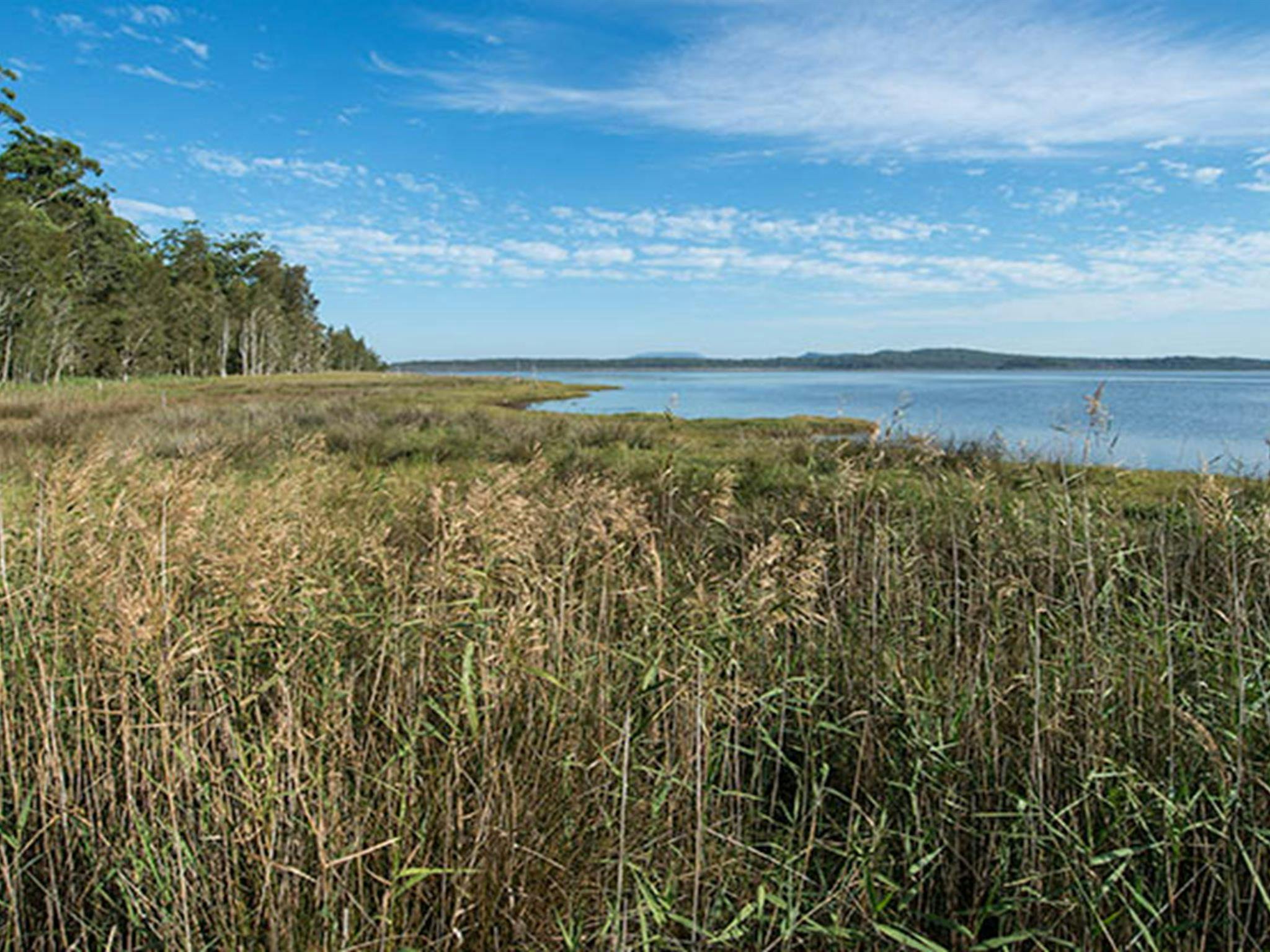 Lake Innes Nature Reserve. Photo: John Spencer &copy: DPIE