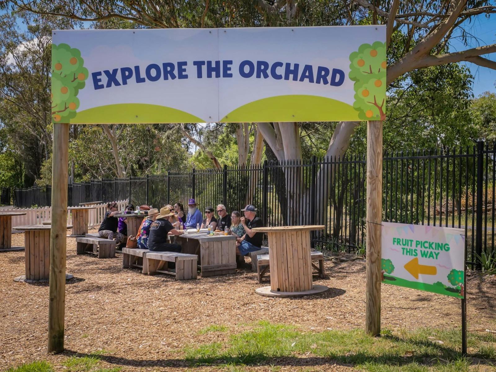 Sit and eat amongst our citrus trees