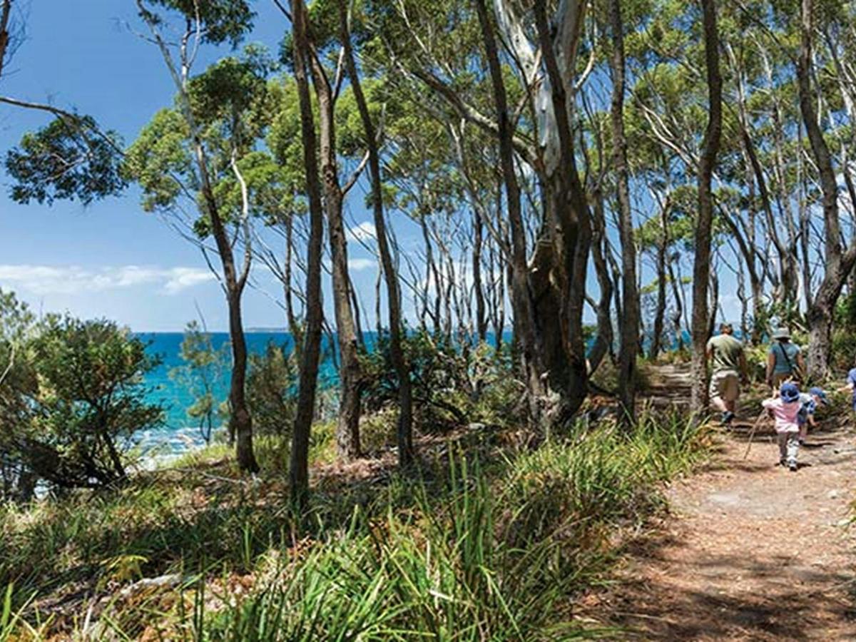 A family walk along Scribbly Gum track, Jervis Bay National Park. Photo: David Finnegan © DPIE