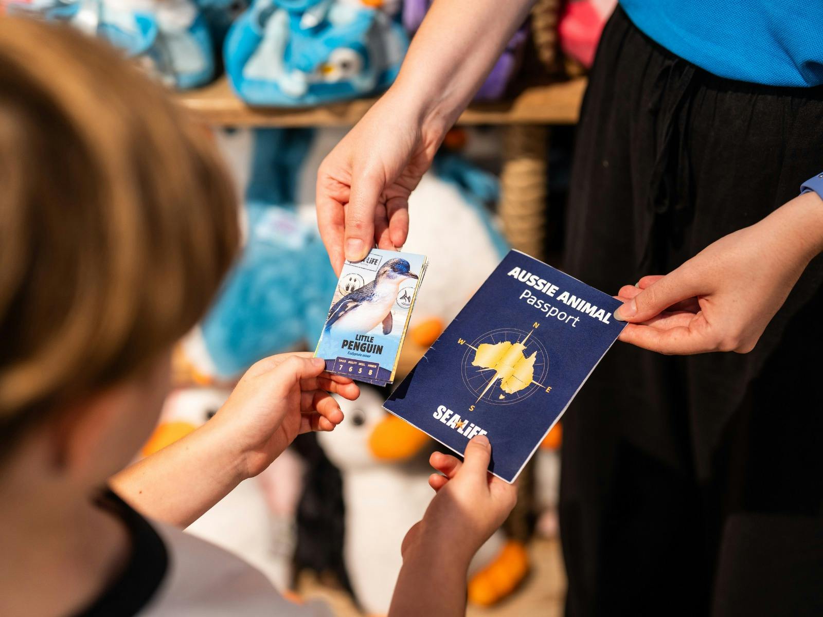 Close up of Aussie Animal Passport and trading cards at SEA LIFE Sydney Aquarium