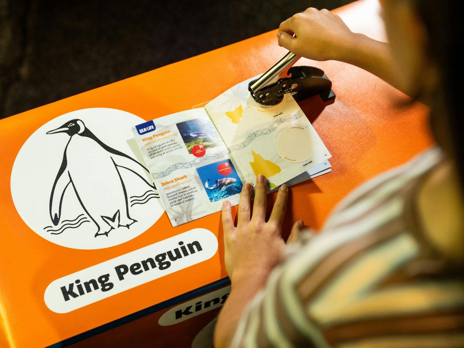 Child stamping their Aussie Animal Passport at SEA LIFE Sydney Aquarium
