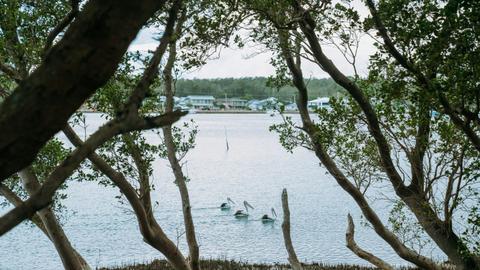 Beach to Beach Shared Path