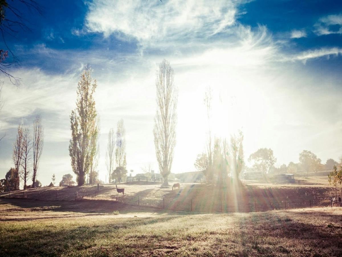 Country life at its best