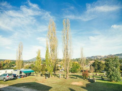 Camping at Bendemeer Tourist Park