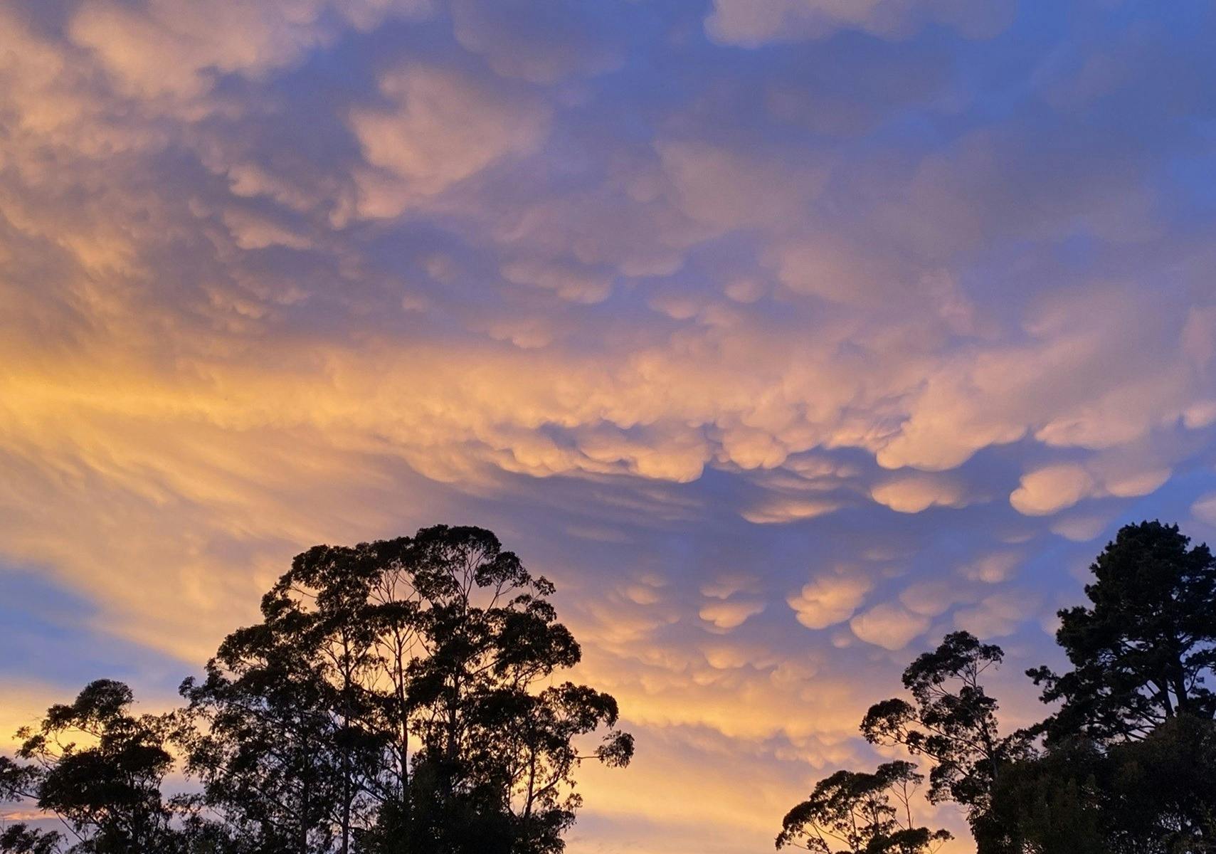 Blackheath Clouds