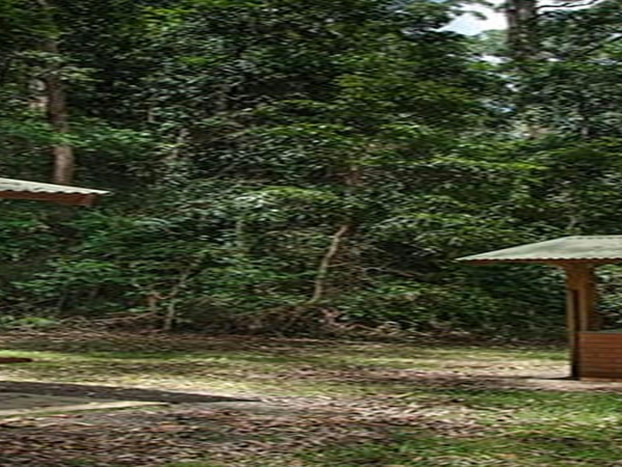 Jerusalem Creek picnic area, Barrington Tops National Park. Photo:John Spencer