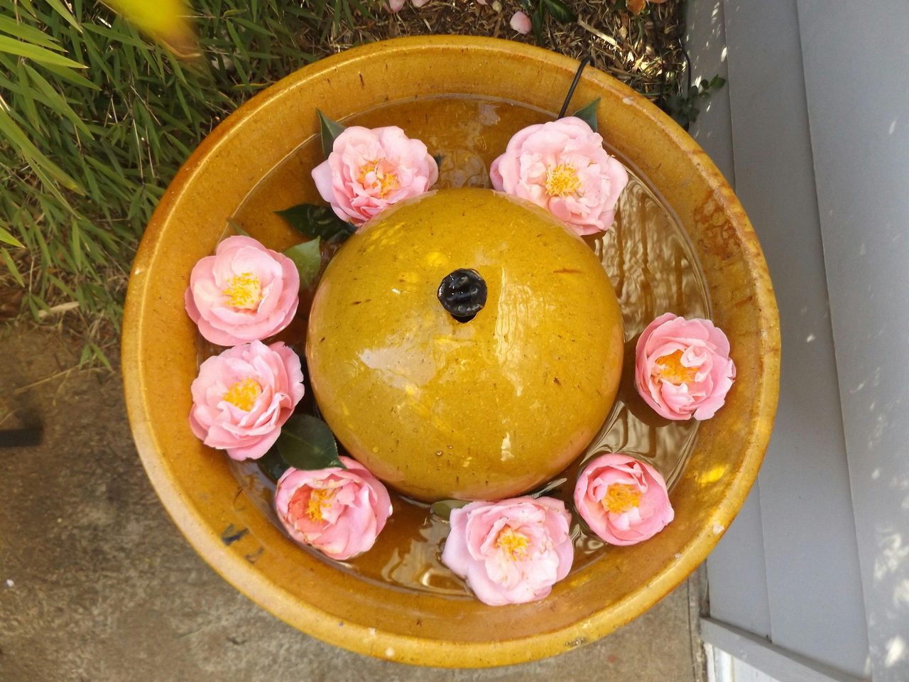 fountain at Apsara