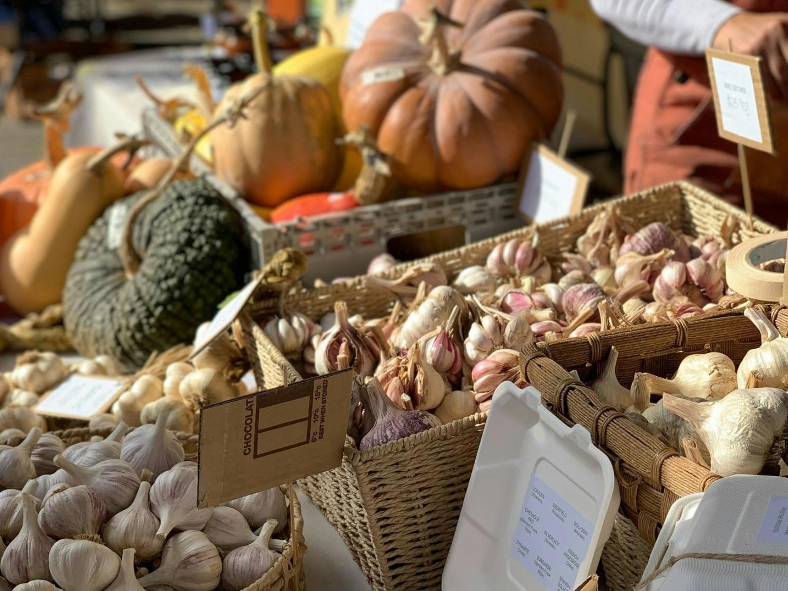 Market Day, Garlic, Pumpkin