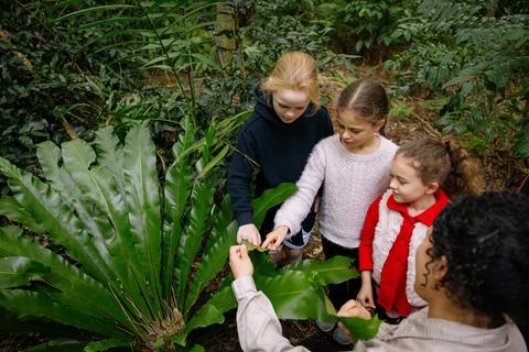 Budding Botanists at Mount Annan