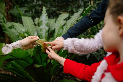 Budding Botanists at Mount Tomah