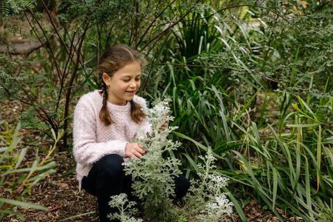 Budding Botanists at Sydney