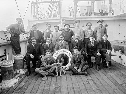 Cats and Dogs All At Sea