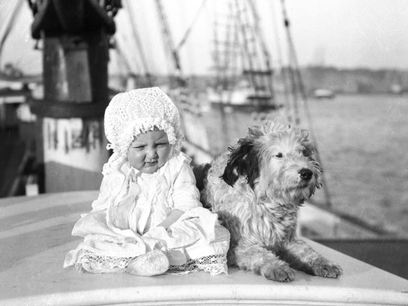 Cats & Dogs All At Sea exhibition