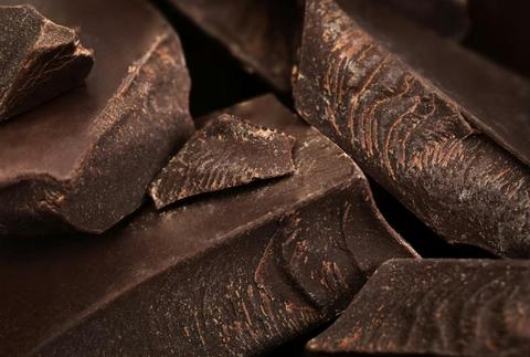 Chocolate Connoisseur Workshop