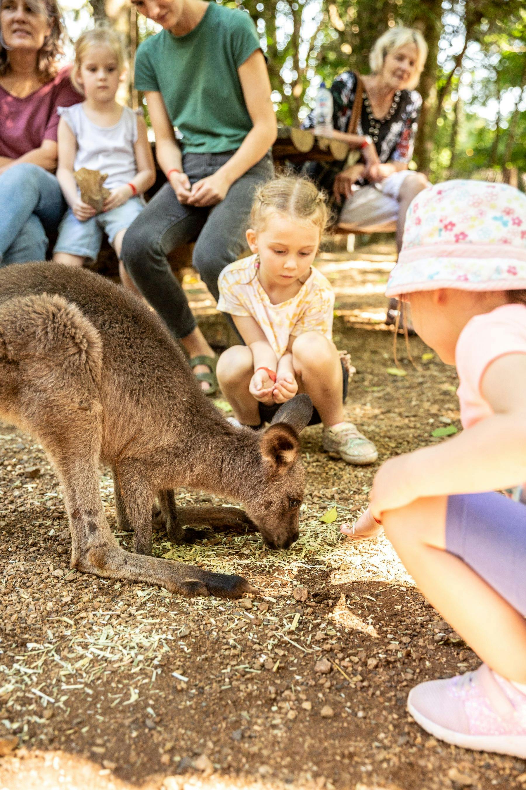 Byron Bay Wildlife Sanctuary