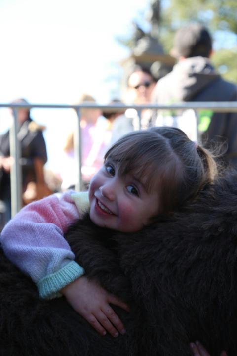 Mini Donkey Therapy