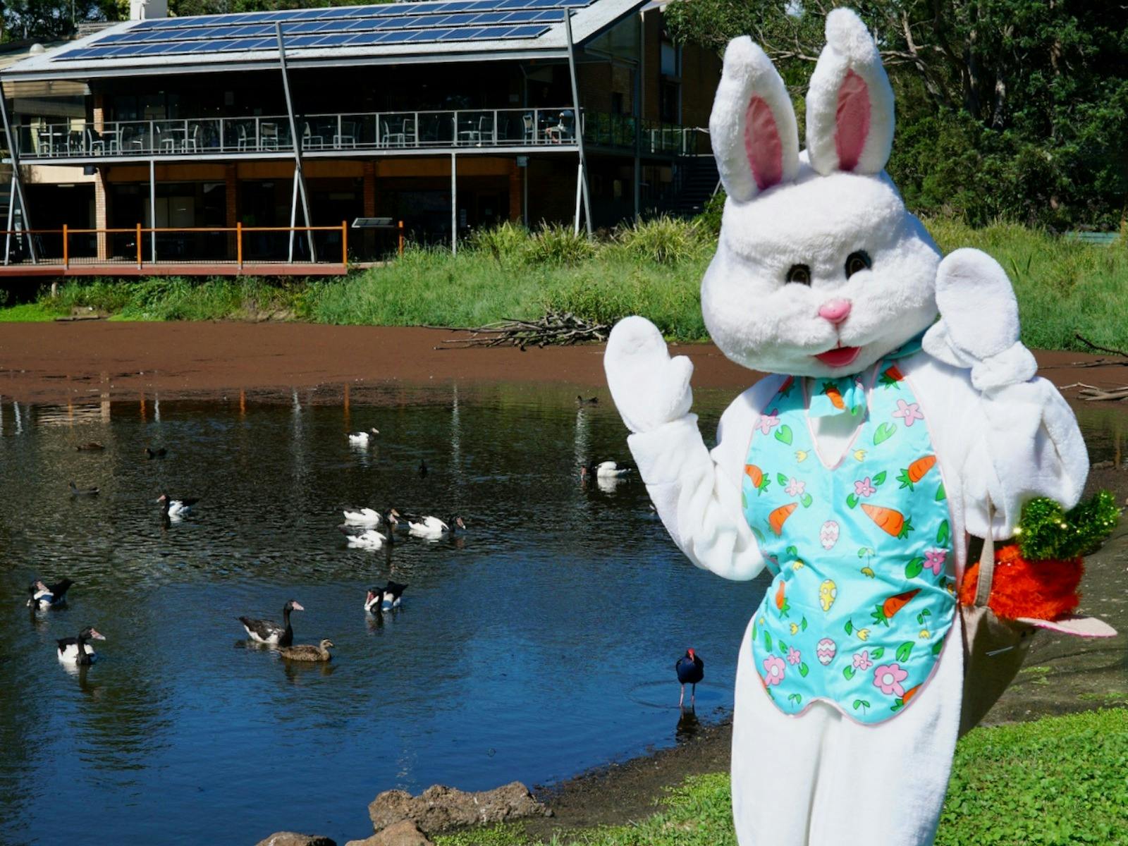 Easter Fun Day at Hunter Wetlands Centre