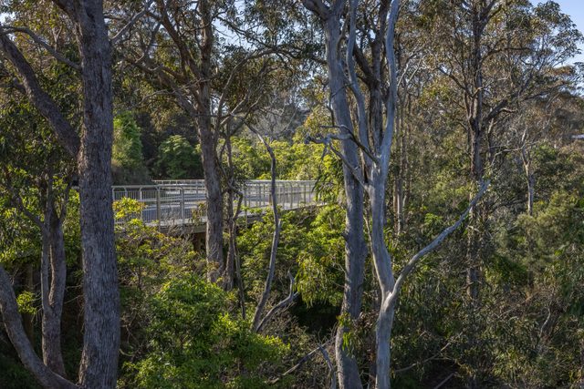 Lake Street Shared Path