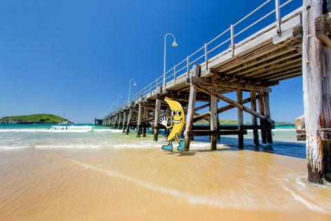 Coffs Harbour Banana World Record Attempt
