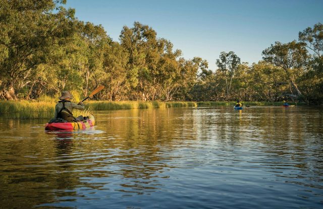 Macquarie Marshes Nature Reserve