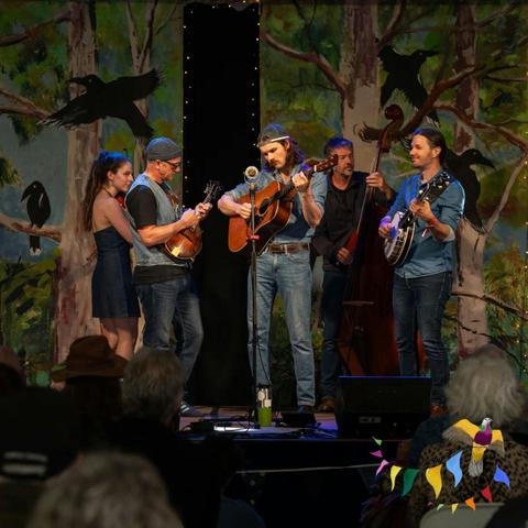 Dorrigo Folk and Bluegrass Festival