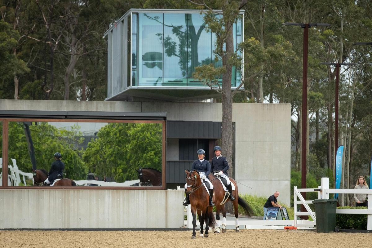Dressage@Willinga