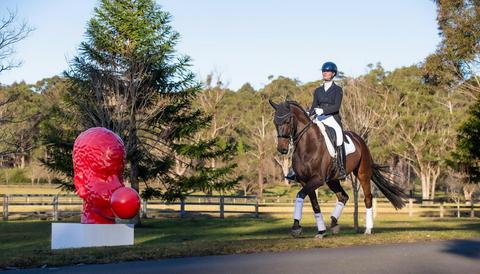 Dressage at Willinga