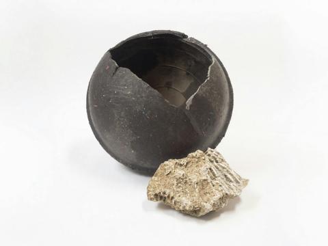 Exhibition / Izabela Pluta / Cavitation