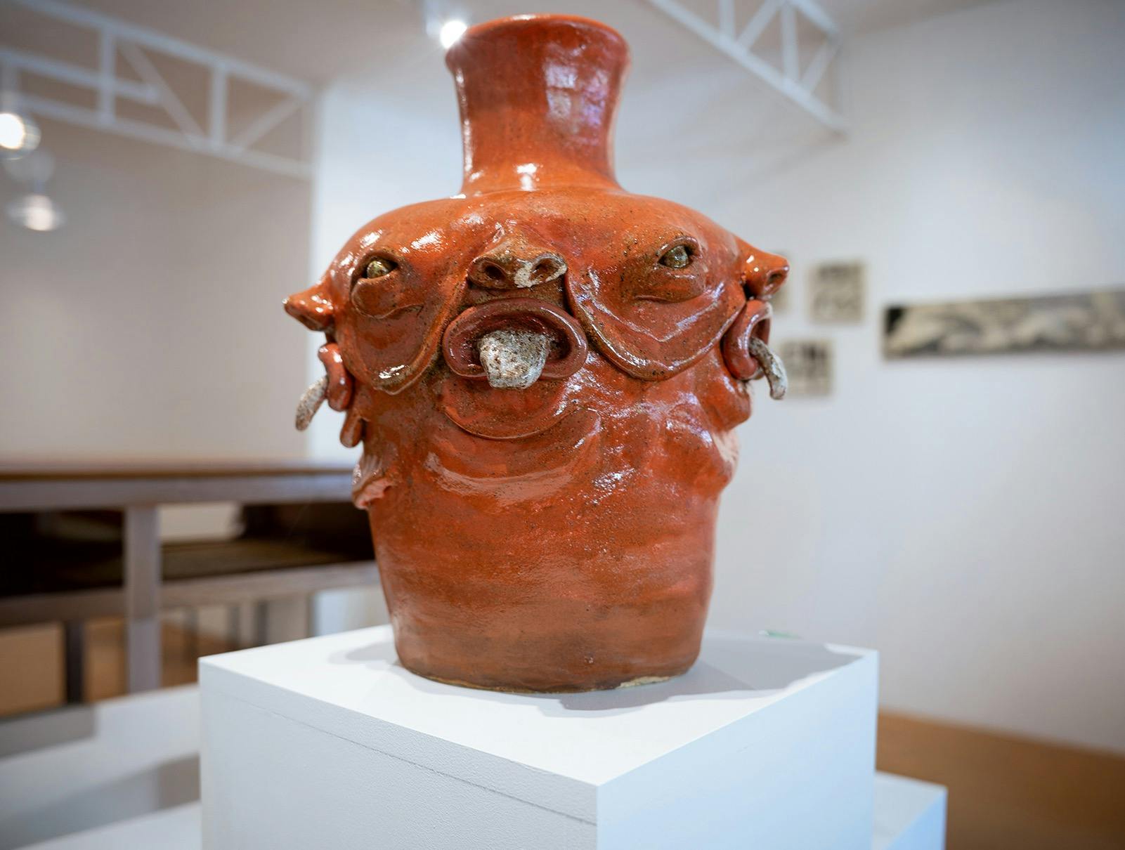 Multiple Faceo Guy Jesse Dolman