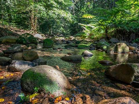 Macquarie Pass National Park
