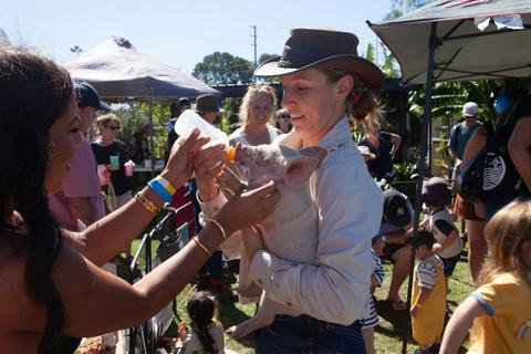HMC Multicultural Fiesta