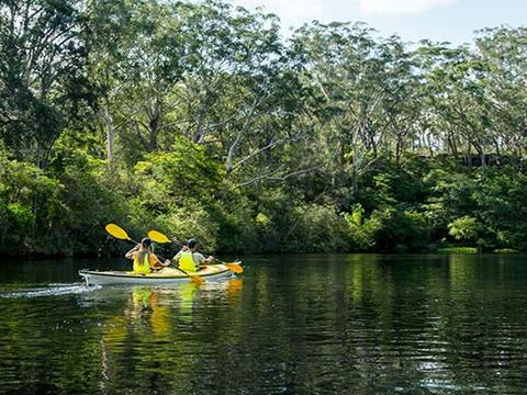 Lane Cove National Park