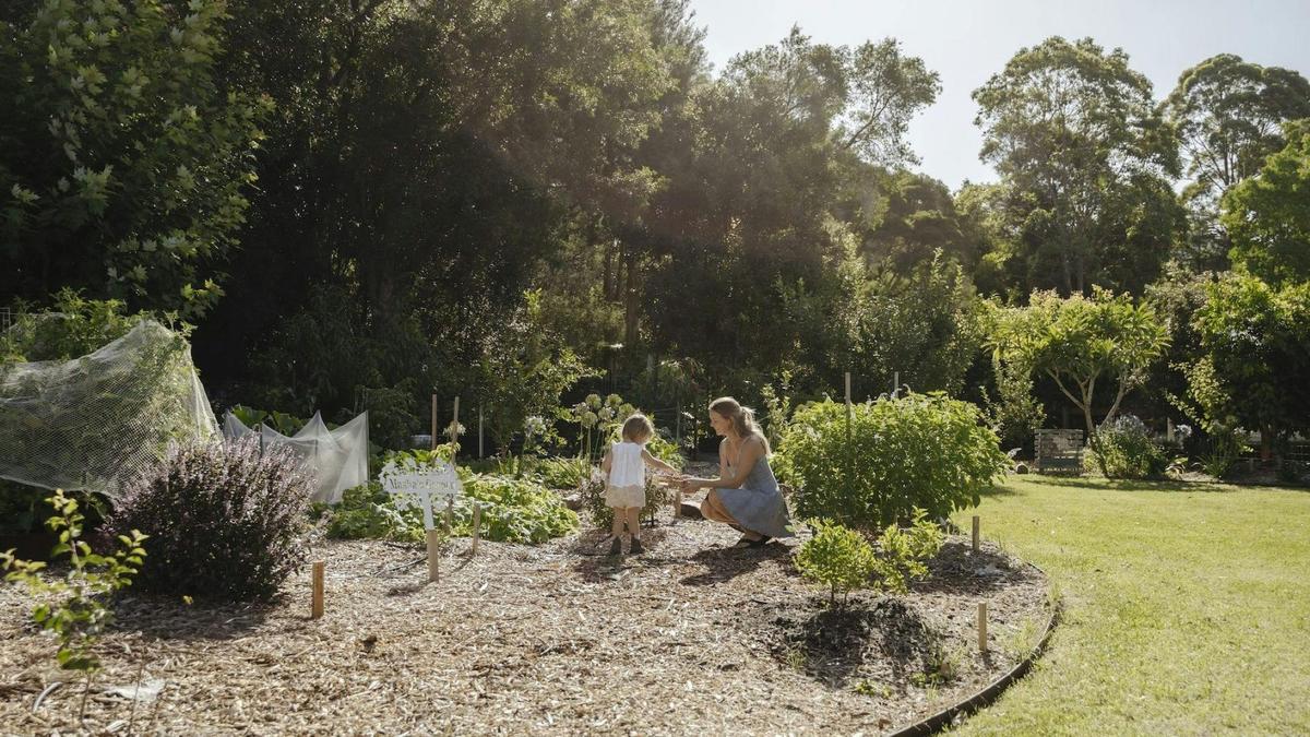 Gardens are alive, fragrant, abundant and ever changing, offering winding paths, edible herbs.