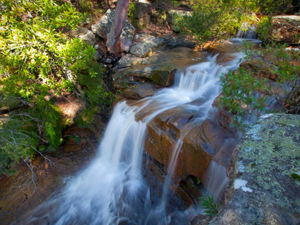 Kellys Falls picnic area, Garawarra State Conservation Area. Photo: Nick Cubbin &copy; OEH