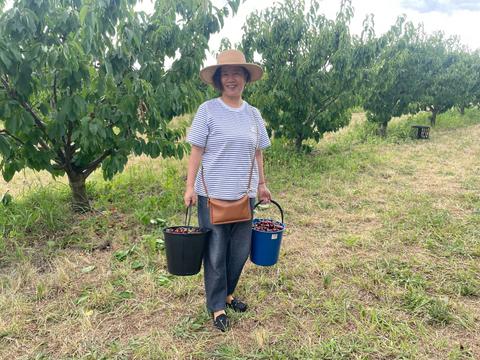 Cherry picking
