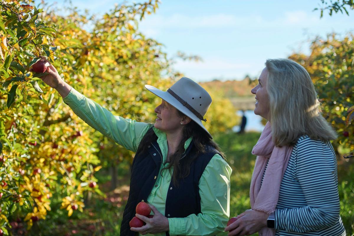 Orchard Tour