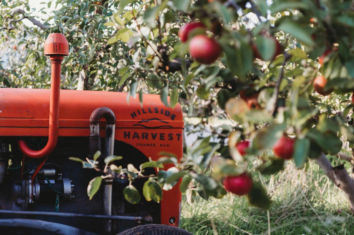 Hillside Harvest Tractor