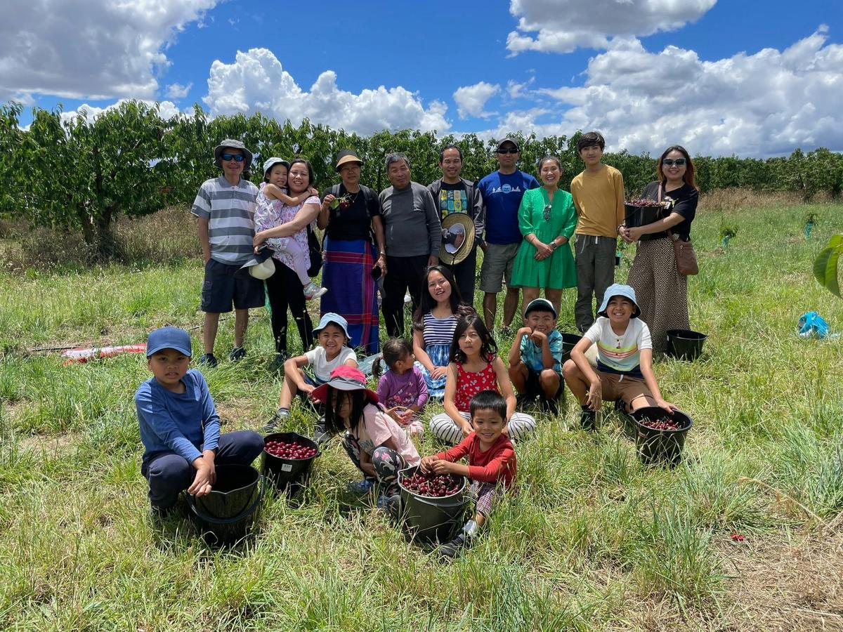 Family group picking fruit