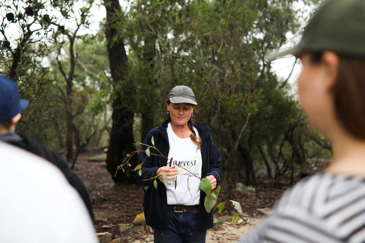 Bush Tucker Tours