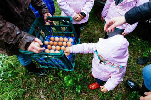 Harvest Festival Central Coast