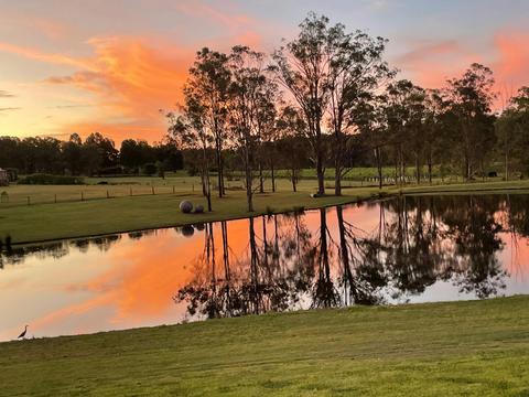 Mistletoe Lake House