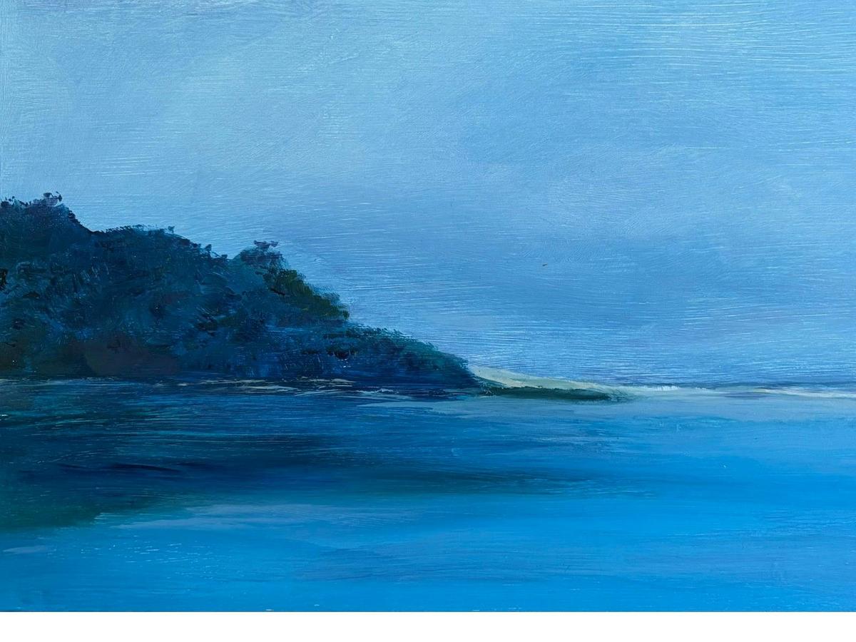 Narrawallee Headland