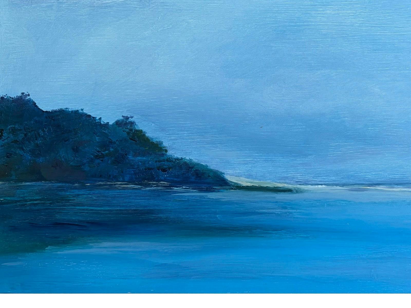 Narrawallee Headland