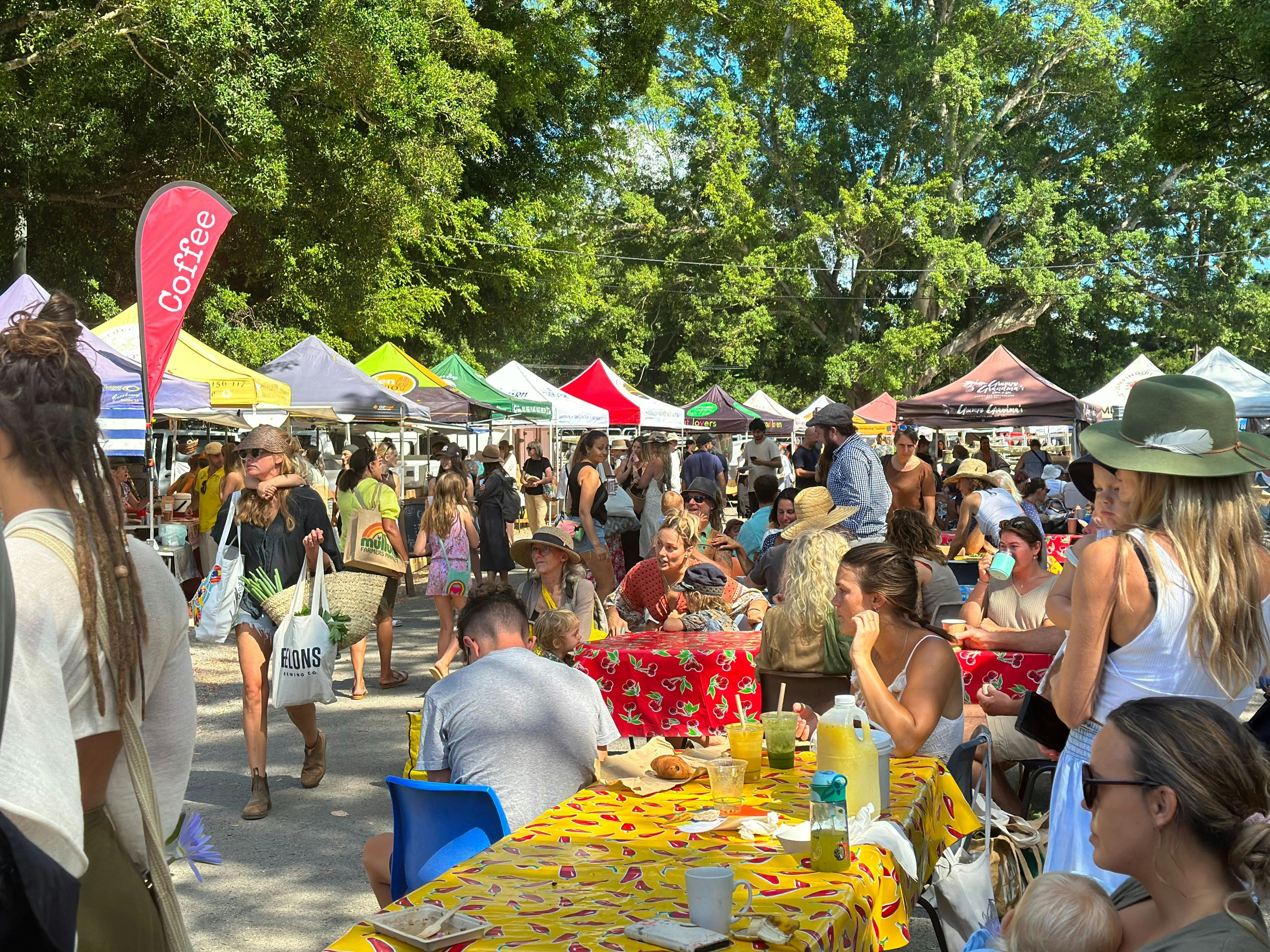 Enjoy watching the local family