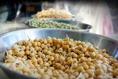 Mullum Farmers Market