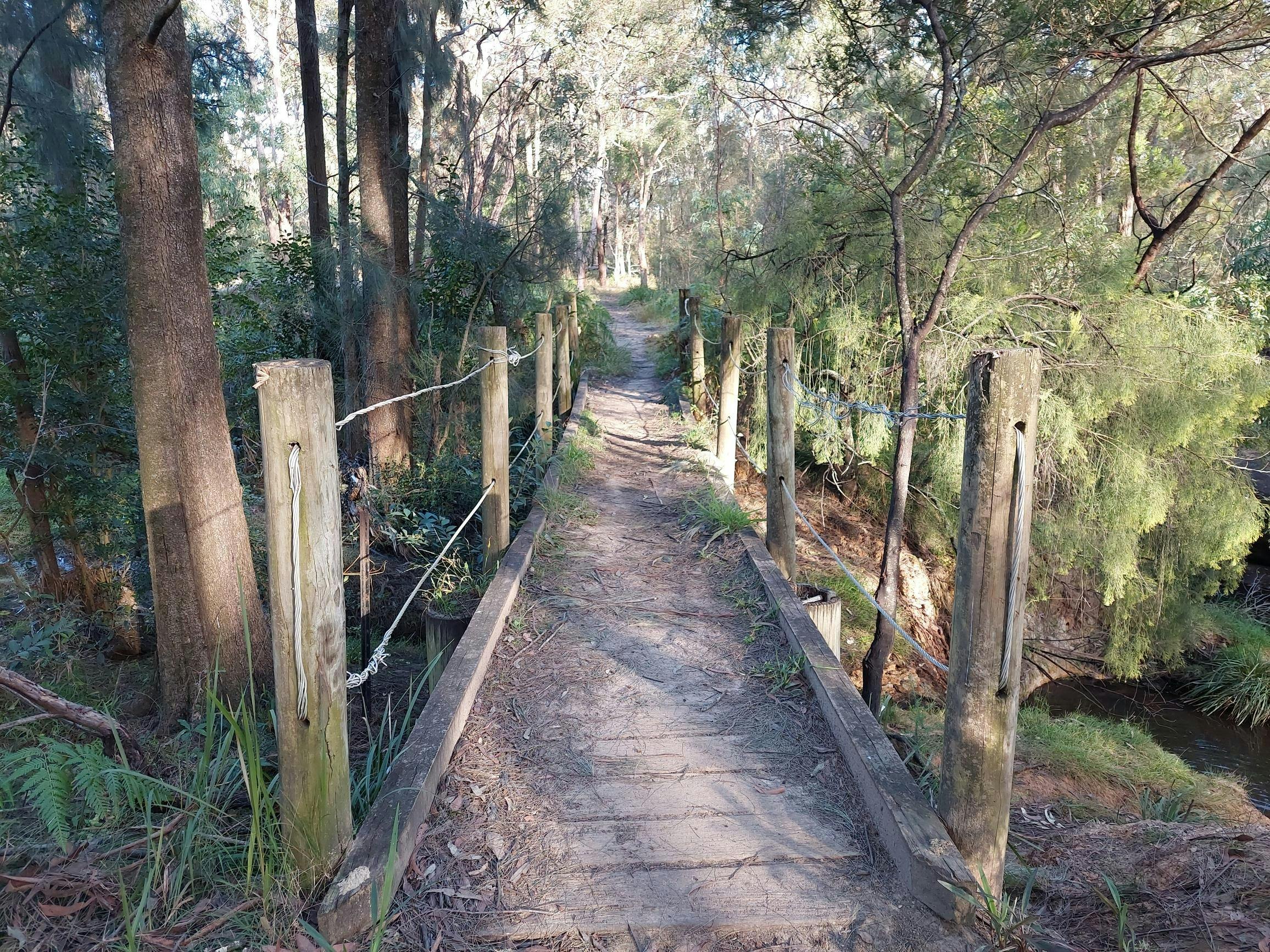 Lin Gordon Reserve